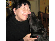 ���� ���� � �������