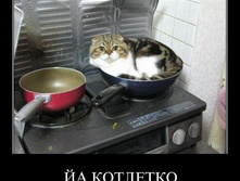 demotivatory_na_chetverg_30_foto_23.jpg