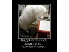 demotivatory_na_pjatnicu_36_foto_14.jpg