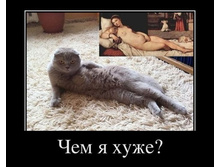 demotivatory_na_sredu_30_foto_8.jpg