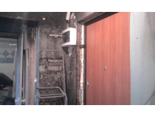 ����� ����1255.jpg