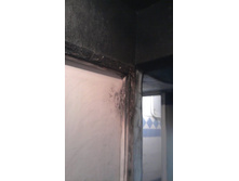 ����� ����1256.jpg