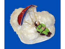 ������������� )))