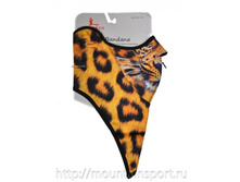 ����� � ������� ��� ��� (� ���������) M12_007 �. 500�..JPG