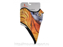 ����� � ������� ��� ��� (� �����) M12_006 �. 500�..JPG