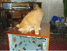 ��� ������?