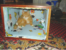 ������ ����� �������