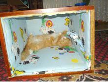 ����������