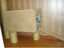 ��� ����� ���