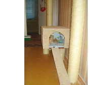 �������� ...������ � ������