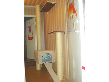 ��� �������� ��������