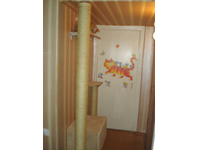 � � ������ �������