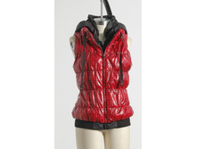 1310 ���. �����