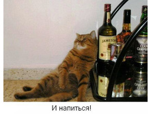 image006.jpg