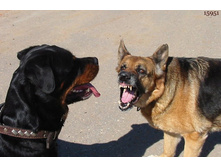 ���������� ����������� � ����������� � �� ������