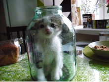 �� ������ ���� �� ���������� - 2