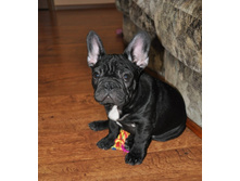 ���� 071.jpg