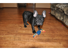 ���� 065.jpg