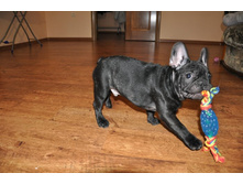 ���� 067.jpg