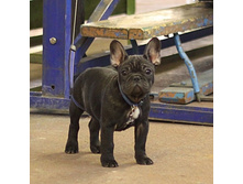 ��� ����.jpg