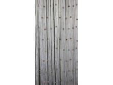 ���� ������ �������