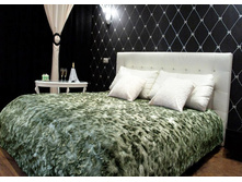 ����  ����� ����� �������.png