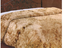 ���� ��������� �����.jpg