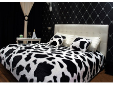 ���� �����.jpg