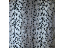 ���� ����� �����.jpg