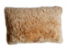 ����� ���.png