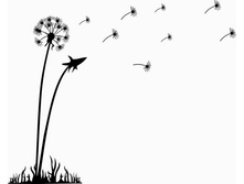 ��������� �����.jpg