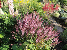 ������ ��������� ( �������)