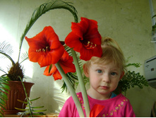 ��� ����.JPG