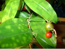 ������ 226.jpg