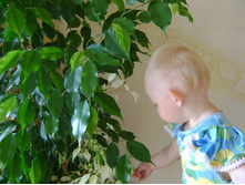 ����������� 013.jpg