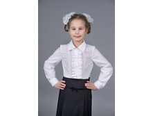 480 ��� ������ bl-96_0.jpg