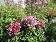 ��������� �����