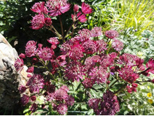 ��������� ���������