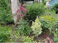 ��������� �  ��������� ���������