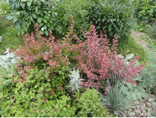 �������� ������������� � ���� ����