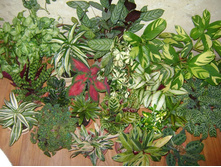 ������� 011.jpg