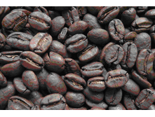 �������� (���������).png