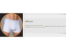 401��.jpg  GEK*TOR