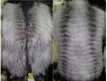 ����� �� ���� ���� ���.���