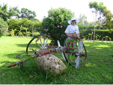 ������� ��.�� � ������))