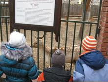 ����������� 010.jpg