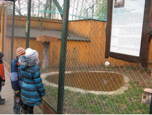 ����������� 009.jpg