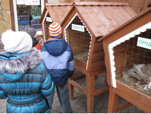 ����������� 232.jpg