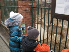 ����������� 012.jpg