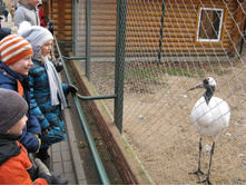 ����������� 015.jpg